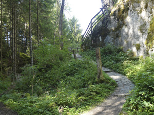 Burg(ruine) Hauenstein, im August 2015. Der Link führt zum größeren Foto.